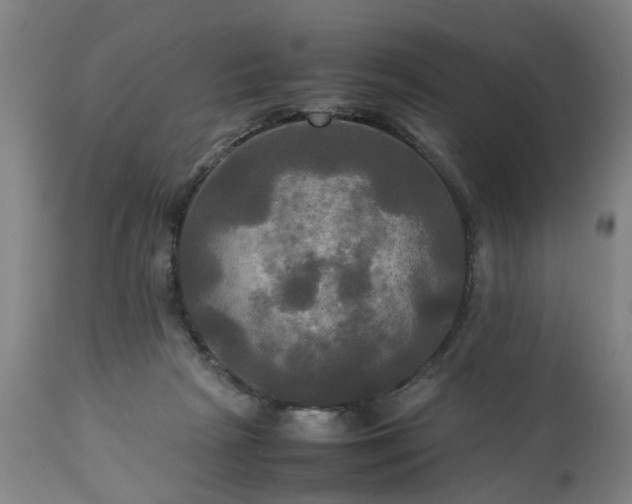 X0000113250265200909241618