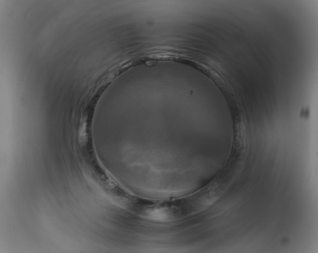 X0000113250267200909241618