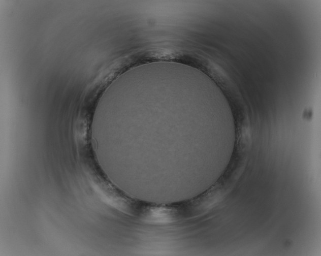 X0000113250268200909241618