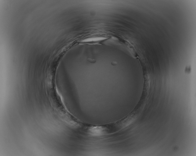 X0000113250269200909241618