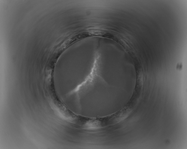 X0000113250271200909241618