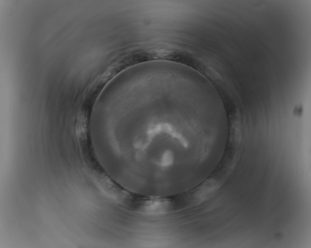 X0000113250274200909241619