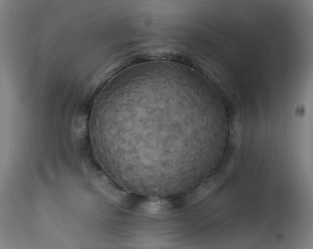 X0000113250278200909241619