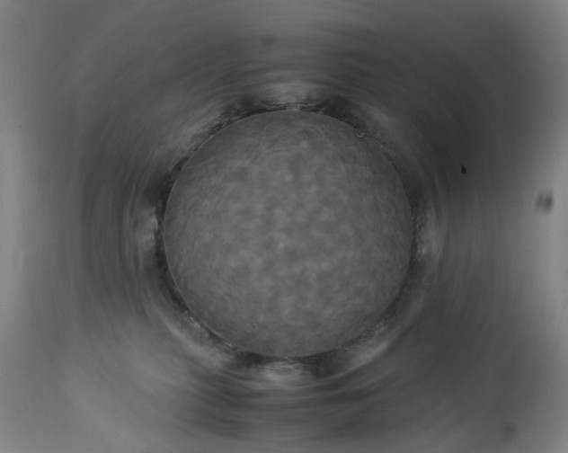 X0000113250279200909241619