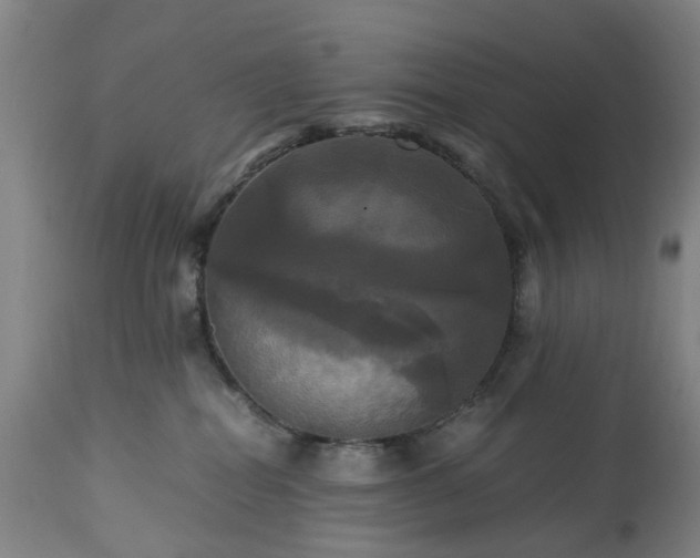 X0000113250282200909241619