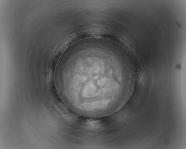 X0000113250283200909241619