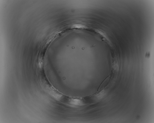 X0000113250285200909241619