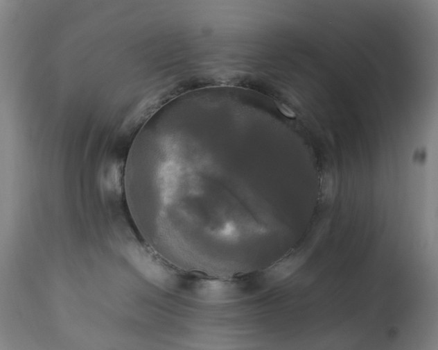 X0000113250286200909241619