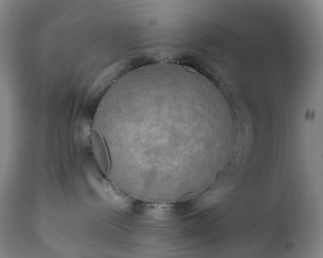 X0000113250288200909241619