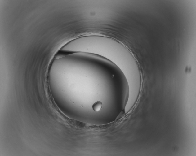 X0000113250289200909241618