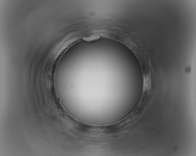 X0000113250291200909241618