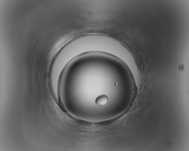 X0000113250293200909241618