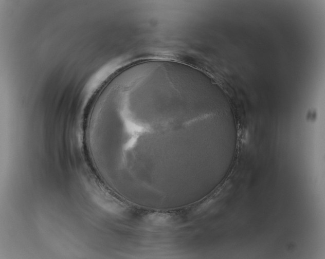 X0000113250294200909241618