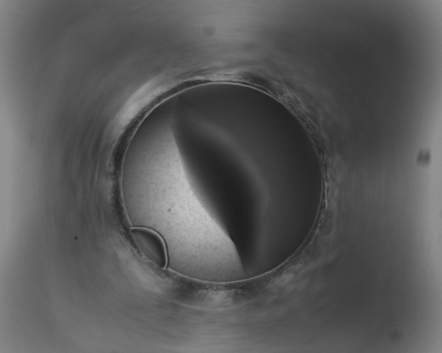 X0000113250295200909241618