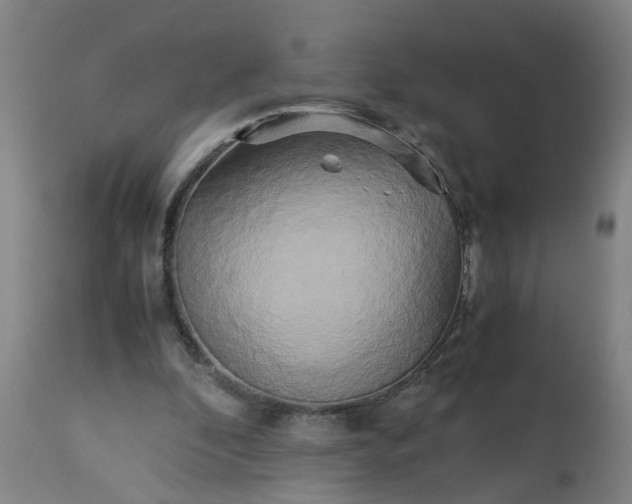 X0000113250296200909241618