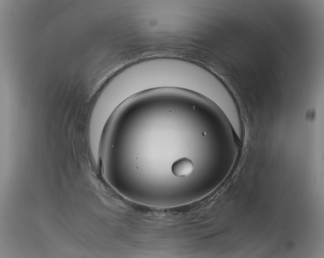 X0000113250297200909241618