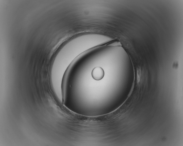 X0000113250300200909241618