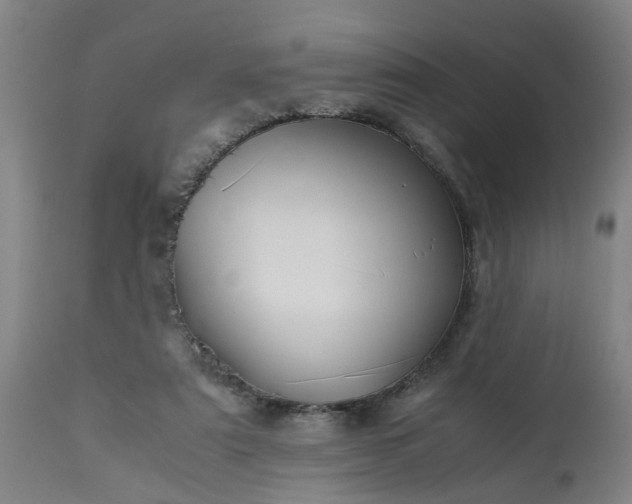 X0000113250307200909241618