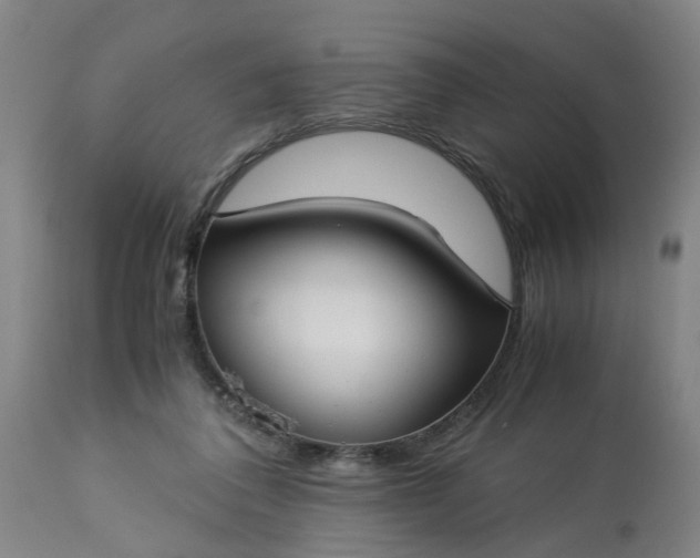 X0000113250308200909241618