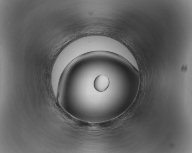 X0000113250309200909241618