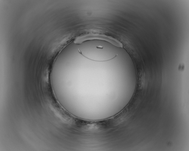 X0000113250310200909241618