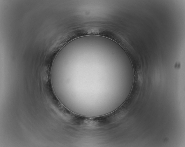 X0000113250311200909241618