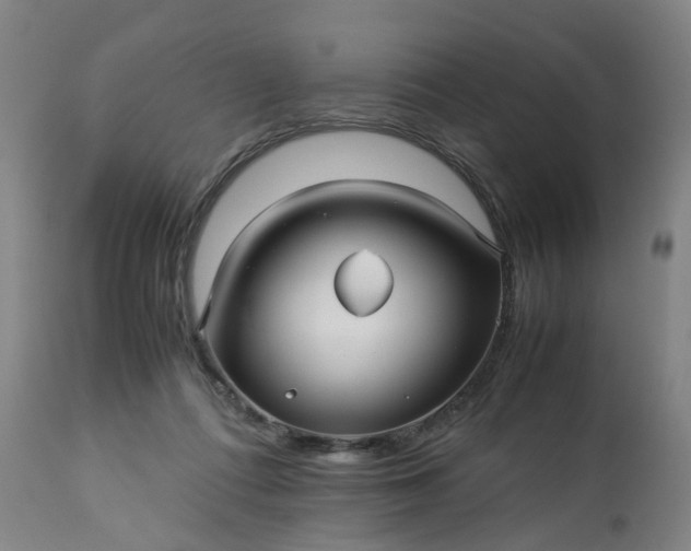 X0000113250312200909241618