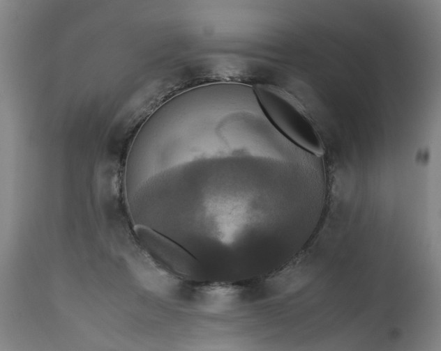 X0000113250313200909241618