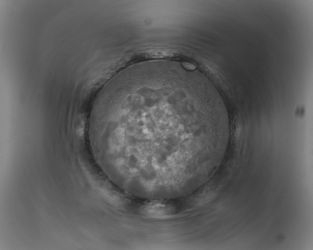 X0000113250315200909241618