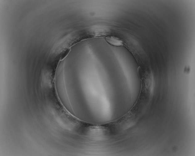 X0000113250316200909241618