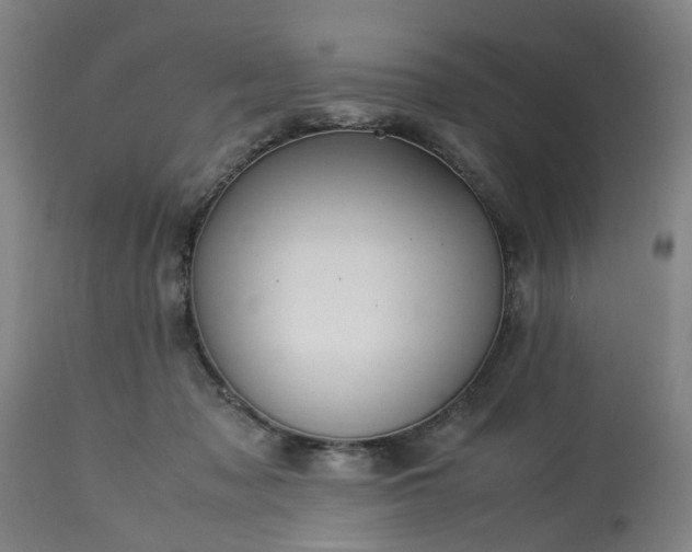 X0000113250317200909241618