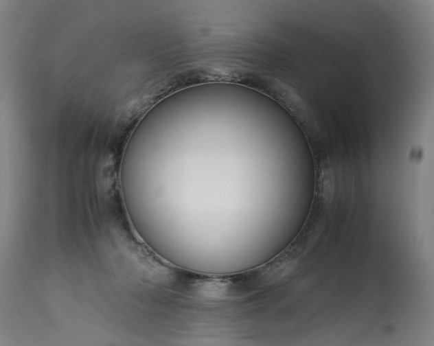 X0000113250318200909241617