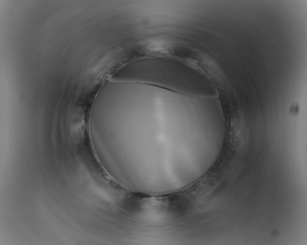 X0000113250320200909241617