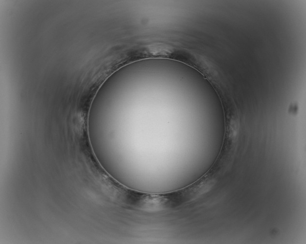 X0000113250321200909241617