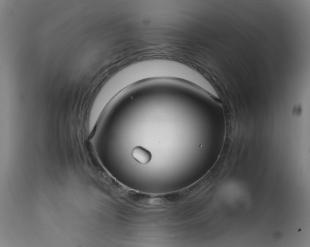 X0000113250324200909241617