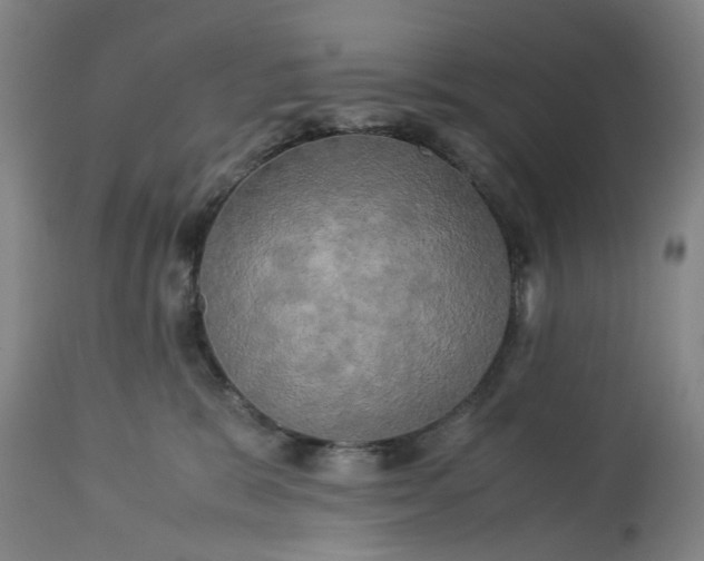 X0000113250327200909241617