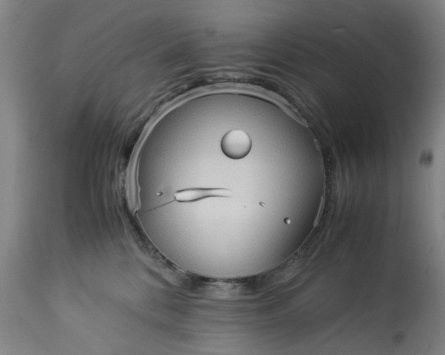 X0000113250328200909241617