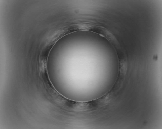 X0000113250329200909241617