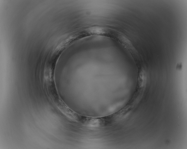 X0000113250330200909241617