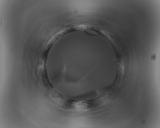 X0000113250331200909241617