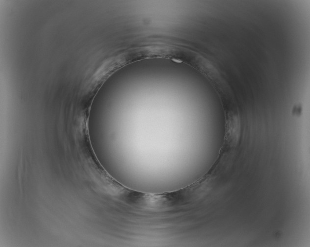 X0000113250333200909241617