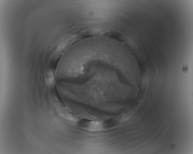 X0000113250335200909241617