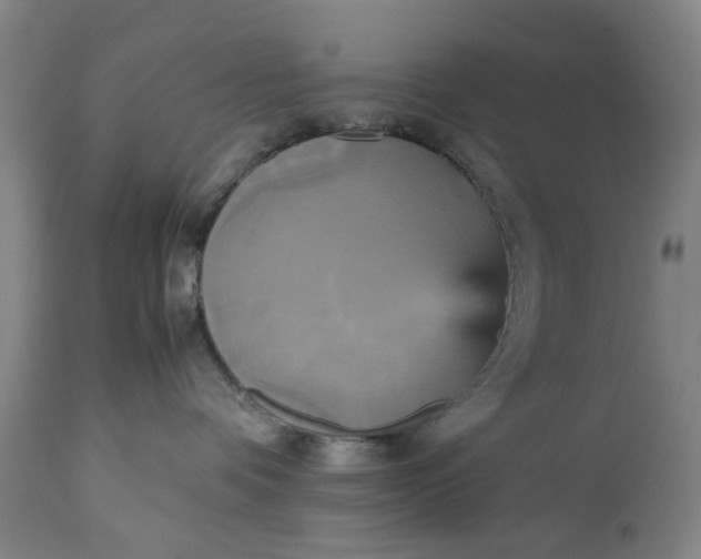 X0000113250336200909241617