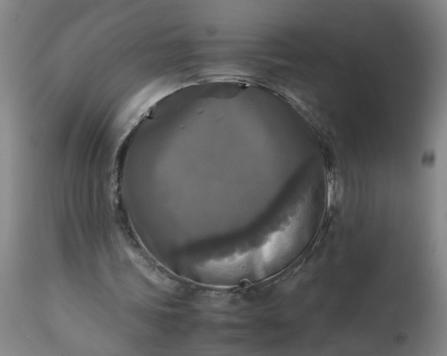 X0000113250339200909241616