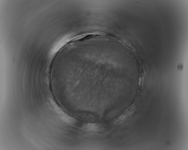 X0000113250341200909241616