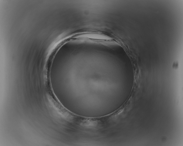 X0000113250343200909241616