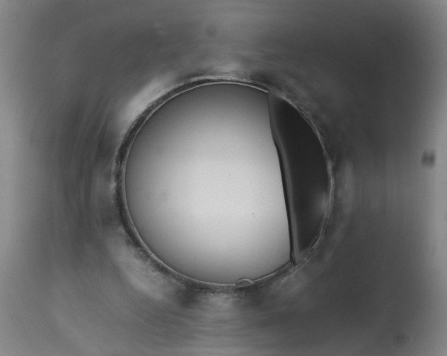 X0000113250344200909241617