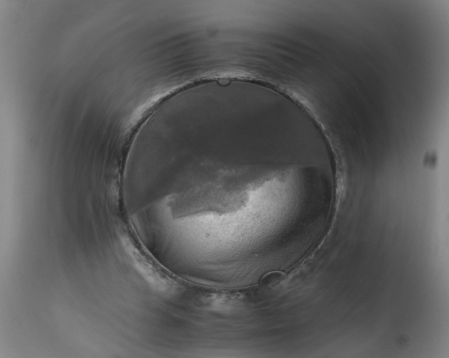 X0000113250345200909241617