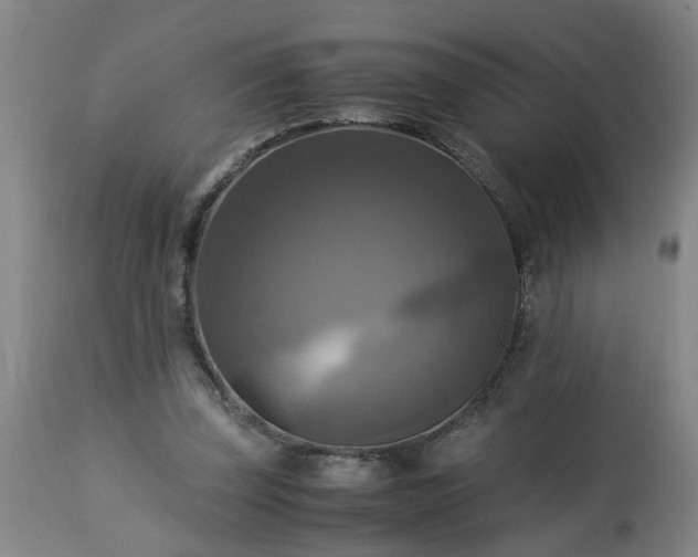 X0000113250347200909241617