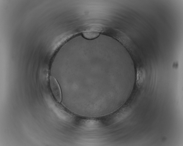 X0000113250348200909241617